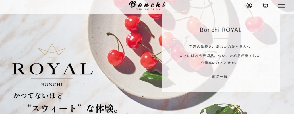 bonchiホームページ